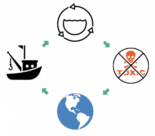 Tidal-Vision-Core-I-planet-circular