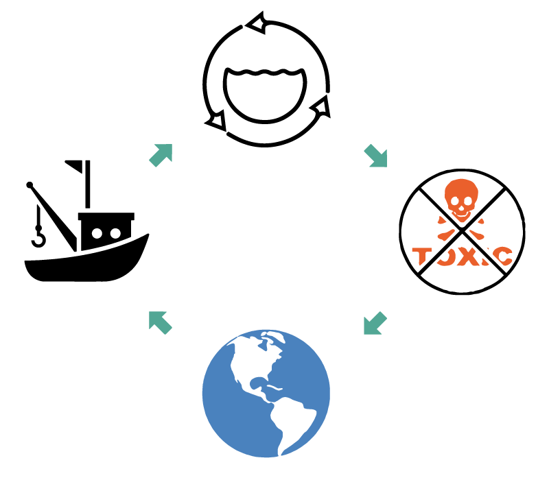 Tidal-Vision-Core-I-planet-circular